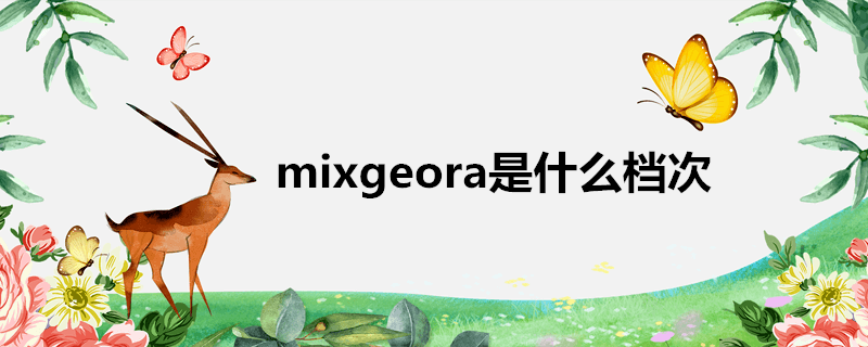 mixgeora是什么档次