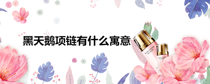 黑天鹅项链有什么寓意 百科全书