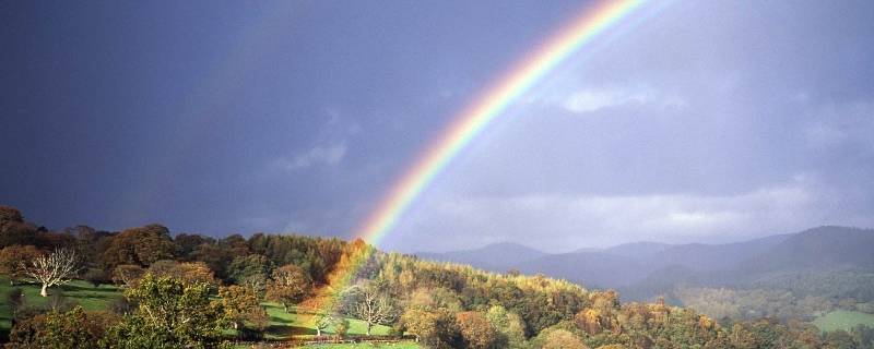 为什么雨后天上挂着彩虹 知识小百科