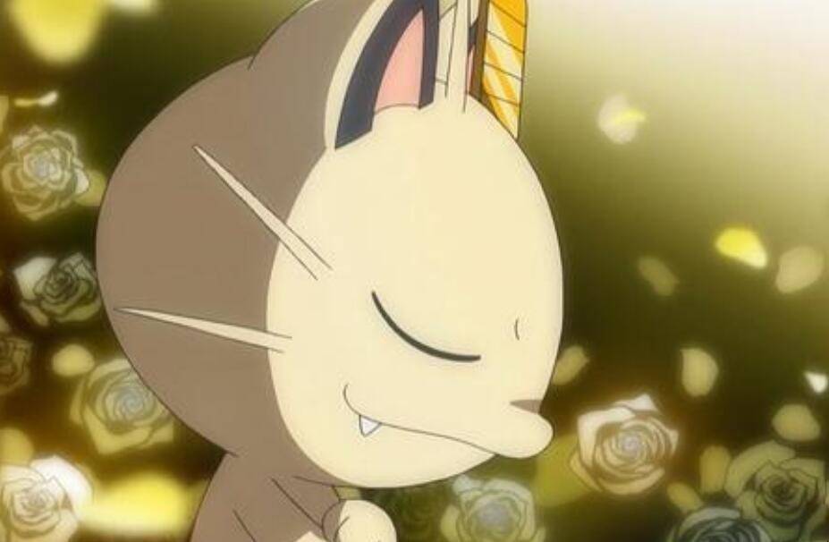 宝可梦的精灵