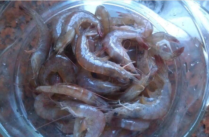 煮基围虾