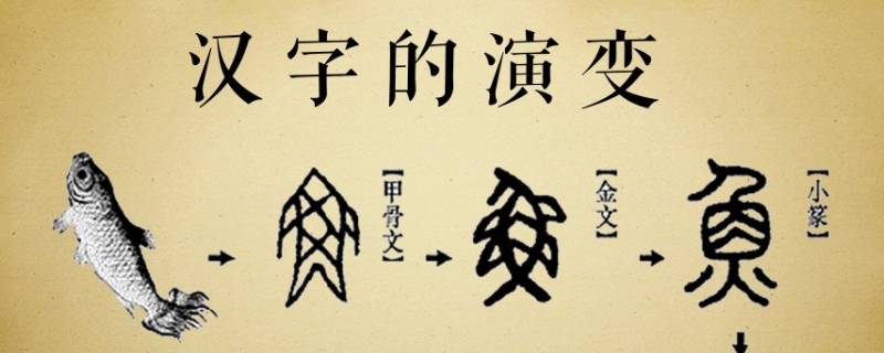 中国汉字的演变过程 百科科普君