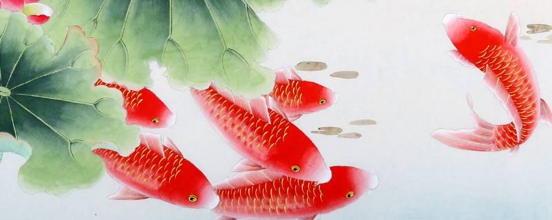 过年的时候吃鱼寓意着什么 每日百科知识