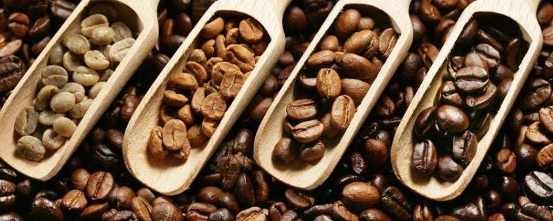 咖啡豆烘焙程度区别