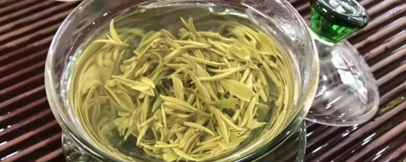 毛峰和毛尖的区别 每日知识科普