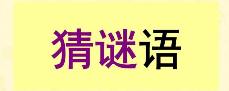 重逢打一字 知识科普君