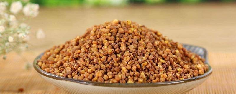 苦荞茶泡完可以吃吗 每日知识科普