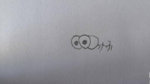 如何画蜻蜓简笔画