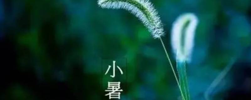 小暑是什么意思 百科科普君