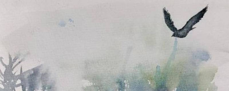 无脚鸟的寓意是什么 每日百科知识