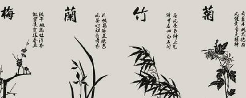 梅兰竹菊的象征意义和精神 科普小知识