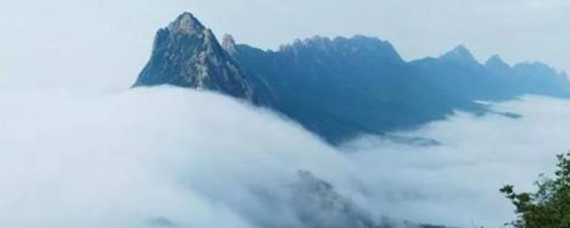 无生老母的道场是哪里 知识大百科