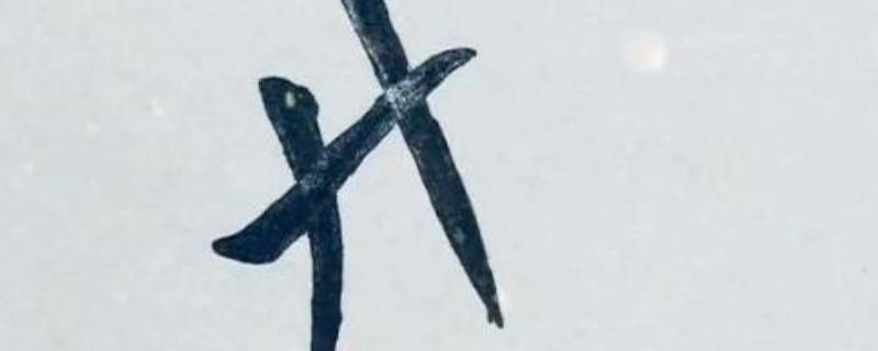 廾匸怎么读 科普知识