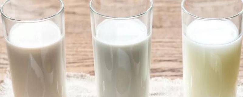 植物奶是什么成分
