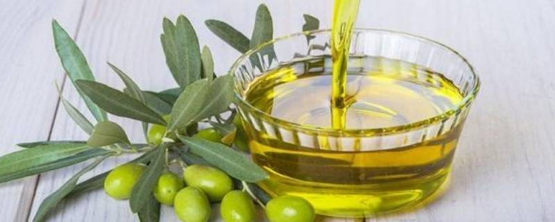 橄榄油能高温炒菜吗