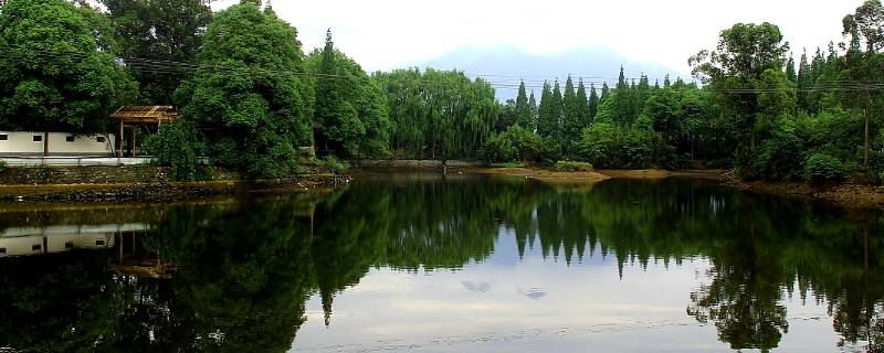 绵竹剑南春森林公园图片
