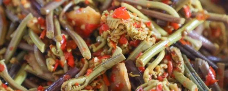 树头菜可以做火腿炒树头菜,树头菜炒粉,树头菜炒肉等,以火腿炒树头菜