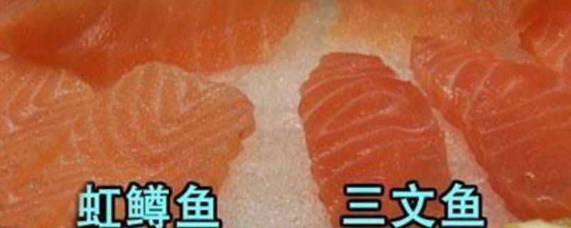 红棕鱼和三文鱼图片