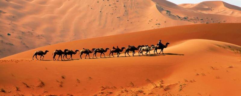 百科 阿拉善沙漠是几大沙漠的统称