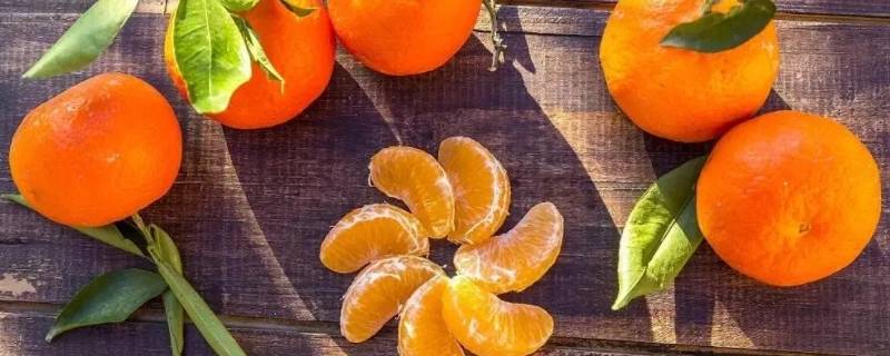分布于浙江黄岩部分传统橘区,果味香甜,是宽皮柑橘中唯一有香气的品种
