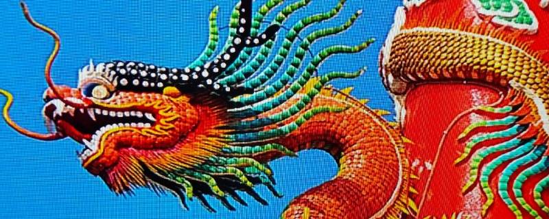 蓝天碧海打一准确生肖