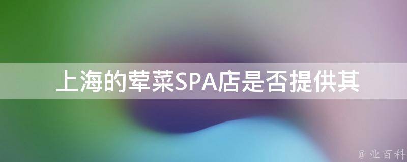  上海的荤菜SPA店是否提供其他服务？