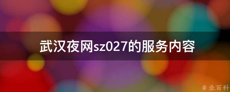  武汉夜网sz027的服务内容包括什么？