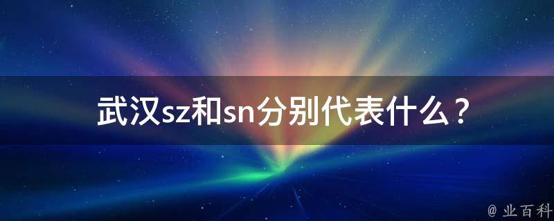  武汉sz和sn分别代表什么？