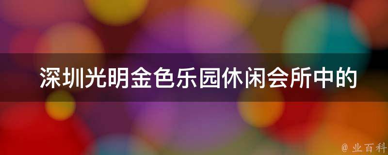  深圳光明金色乐园休闲会所中的“程序@Table注解”是什么意思？