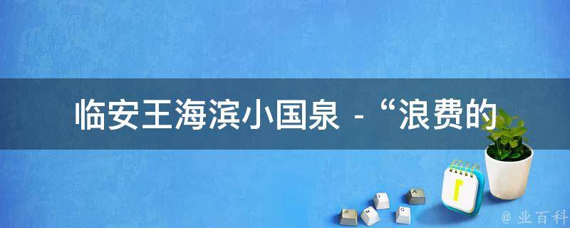 临安王海滨小国泉 - “浪费的区别”相关的疑问式需求词：