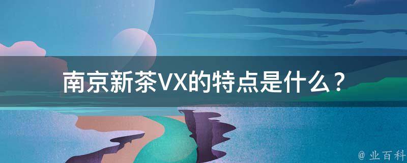 南京新茶VX的特点是什么？