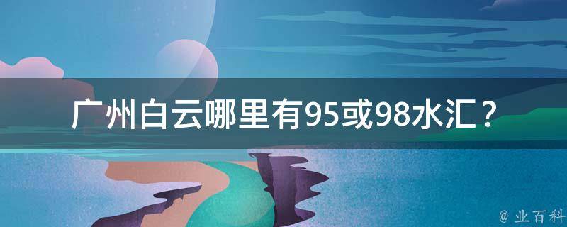 广州白云哪里有95或98水汇？