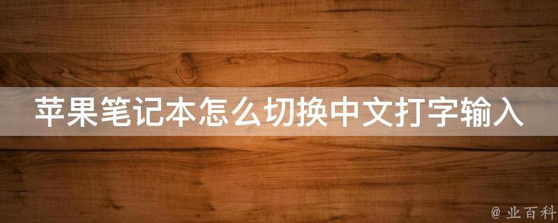 苹果笔记本怎么切换中文打字输入法_快速实用的3种方法
