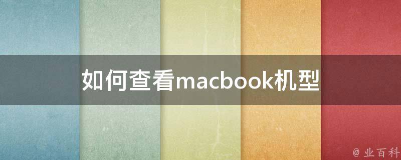 如何查看macbook机型