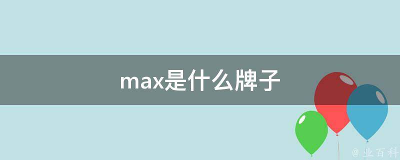 max是什么牌子