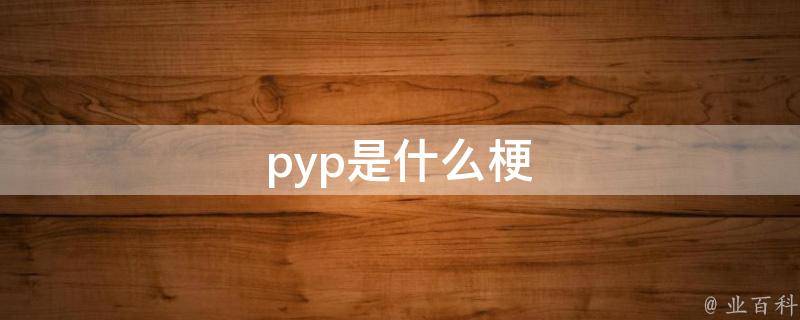 pyp是什么梗