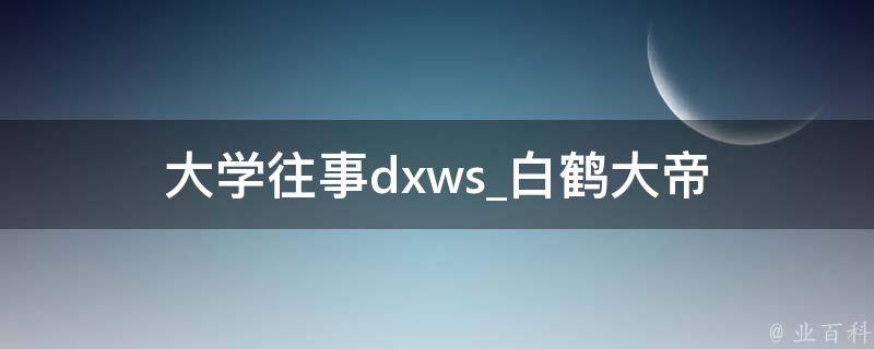 大学往事dxws